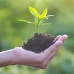 organisation weekend d'intégration écologique